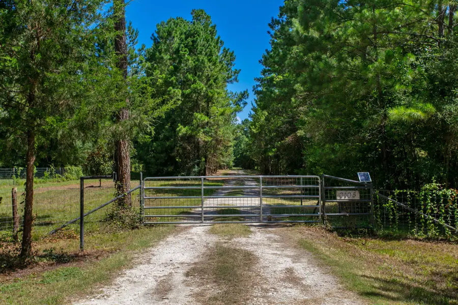 9195 County Road 207, Plantersville, TX 77363 - #3