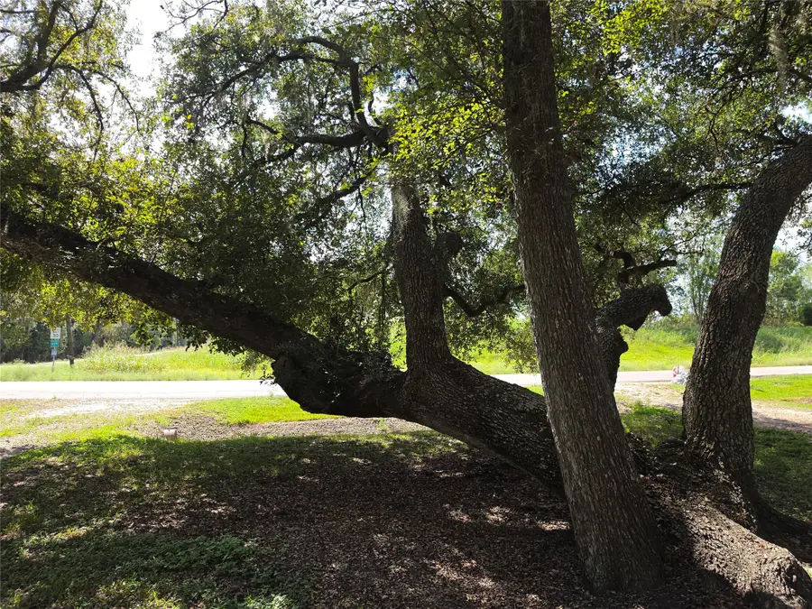 20527 Lake Forest Drive E, Guy, TX 77444 - #3