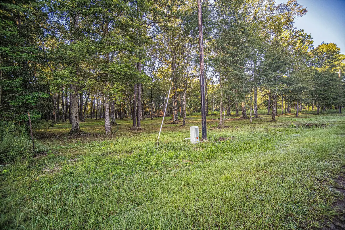 1319 County Road 3434 S, Cleveland, TX 77327 - #1