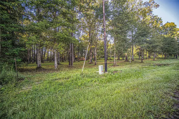 1319 County Road 3434 S, Cleveland, TX 77327