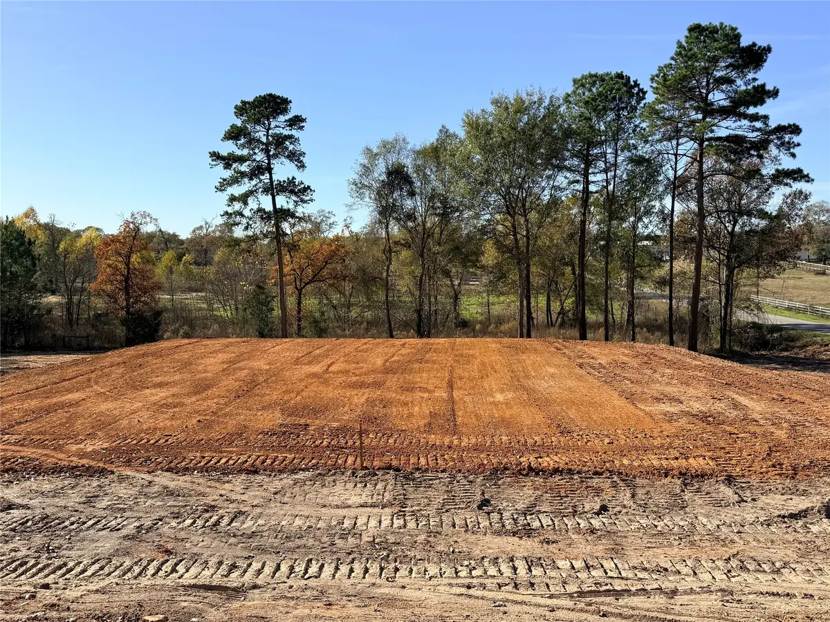 10118 County Road 302, Plantersville, TX 77363 - Image #1