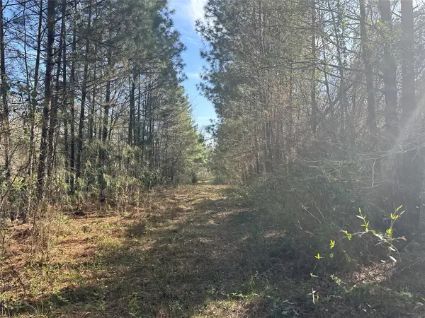 TBD Road 3813, Cleveland, TX 77328