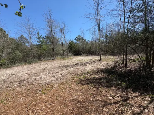 00 County Road 4180, Lovelady, TX 75851