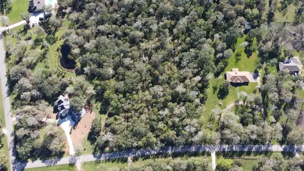 0 Squirrel Hollow Road, Damon, TX 77430