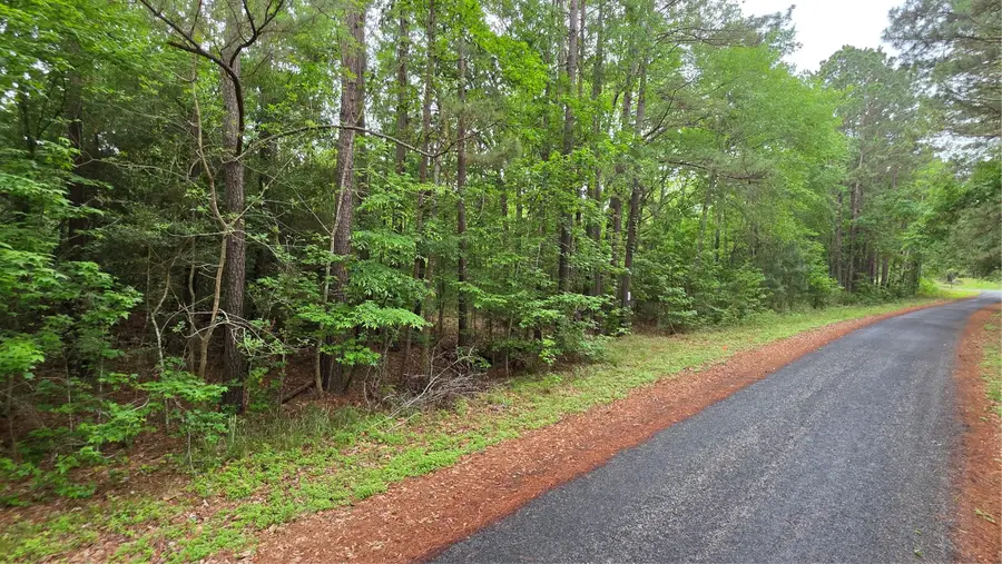 TBD Heron Lane, Coldspring, TX 77331 - #3