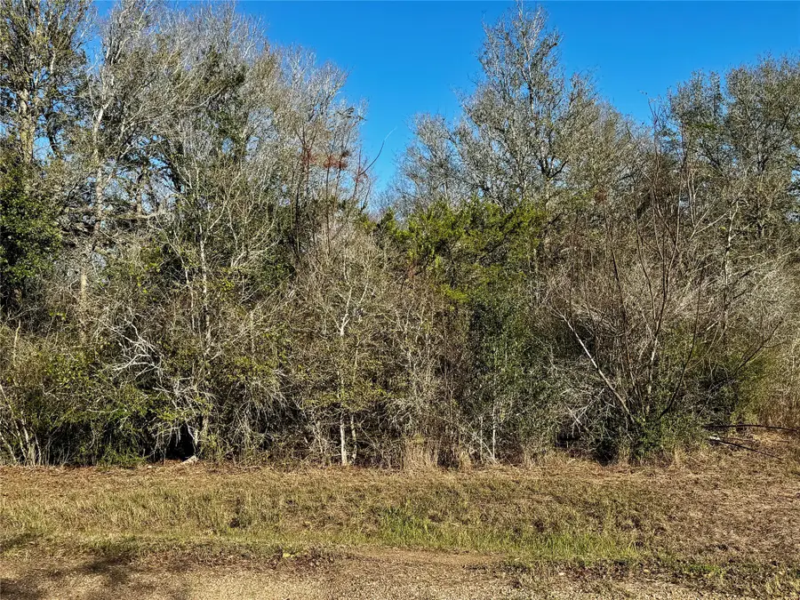 000 Tinkler Street, Rock Island, TX 77470 - Image #2