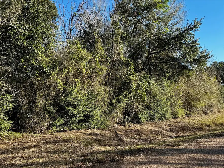 000 Tinkler Street, Rock Island, TX 77470 - Image #3