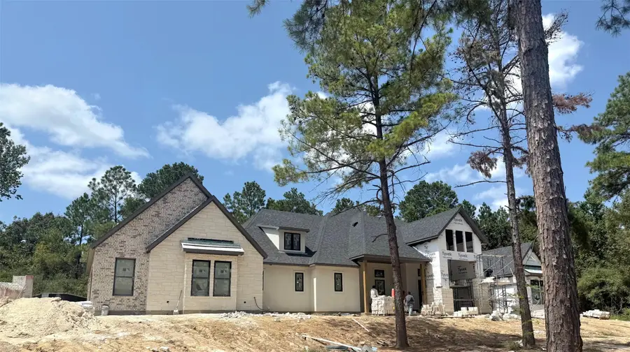 25123 Balmorhea Way, Montgomery, TX 77316 - #2