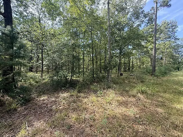 TBD Kings Point Drive, Coldspring, TX 77331 - #3
