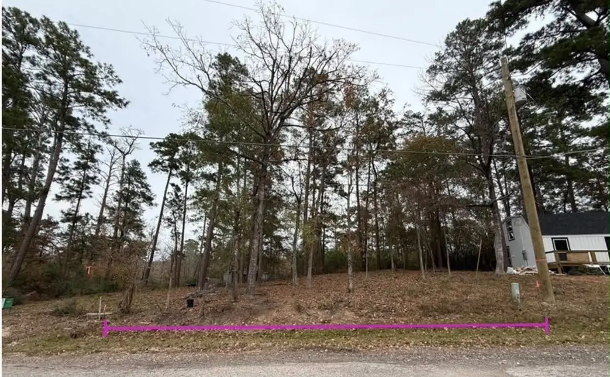 0 Impala Woods Drive, Onalaska, TX 77360 - #1