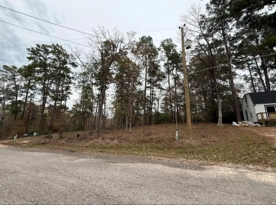 0 Impala Woods Drive, Onalaska, TX 77360 - #2