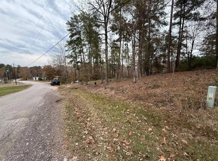 0 Impala Woods Drive, Onalaska, TX 77360 - #3