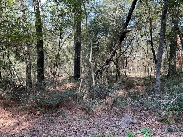 0 Mockingbird Lane, Trinity, TX 75862