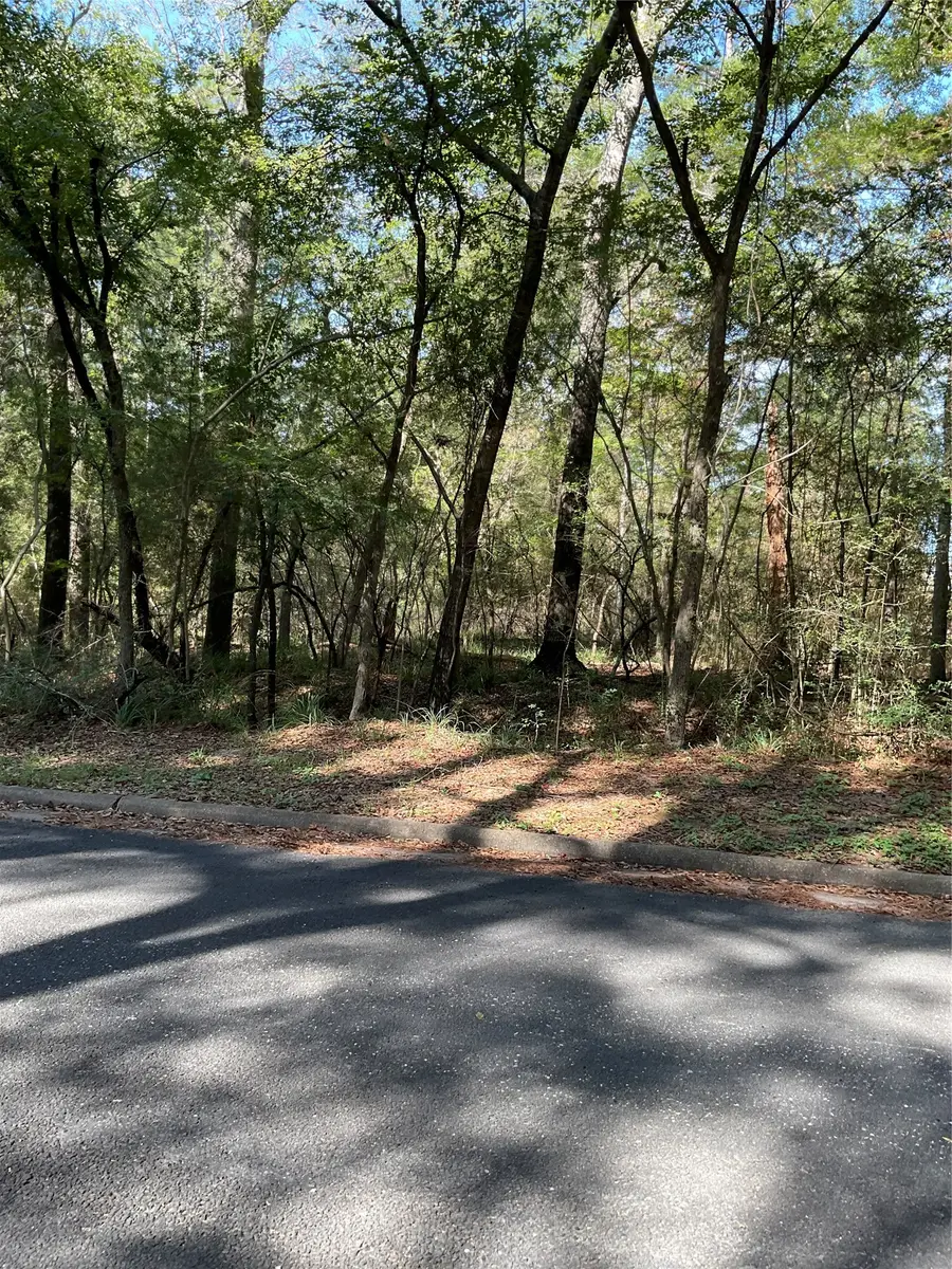 0 Mockingbird Lane, Trinity, TX 75862 - #2