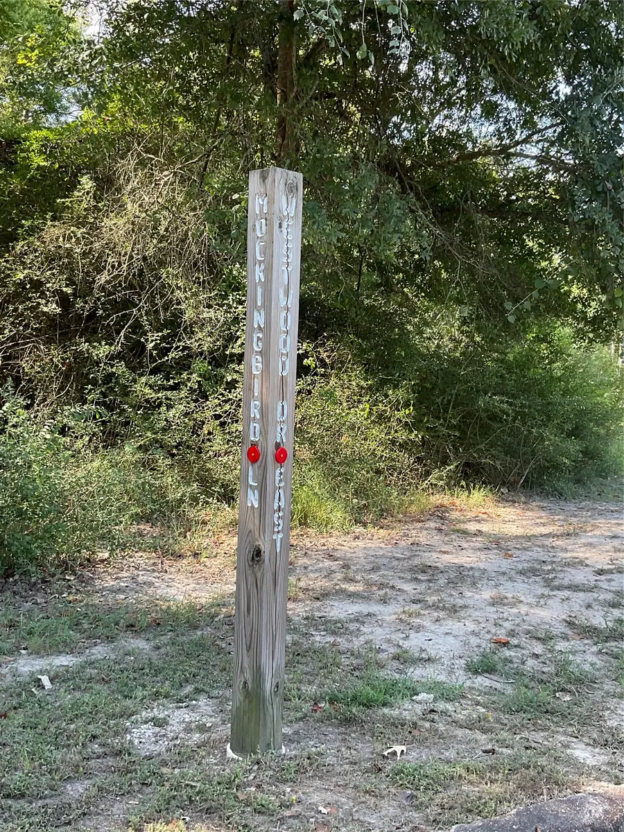 0 Mockingbird Lane, Trinity, TX 75862 - #3
