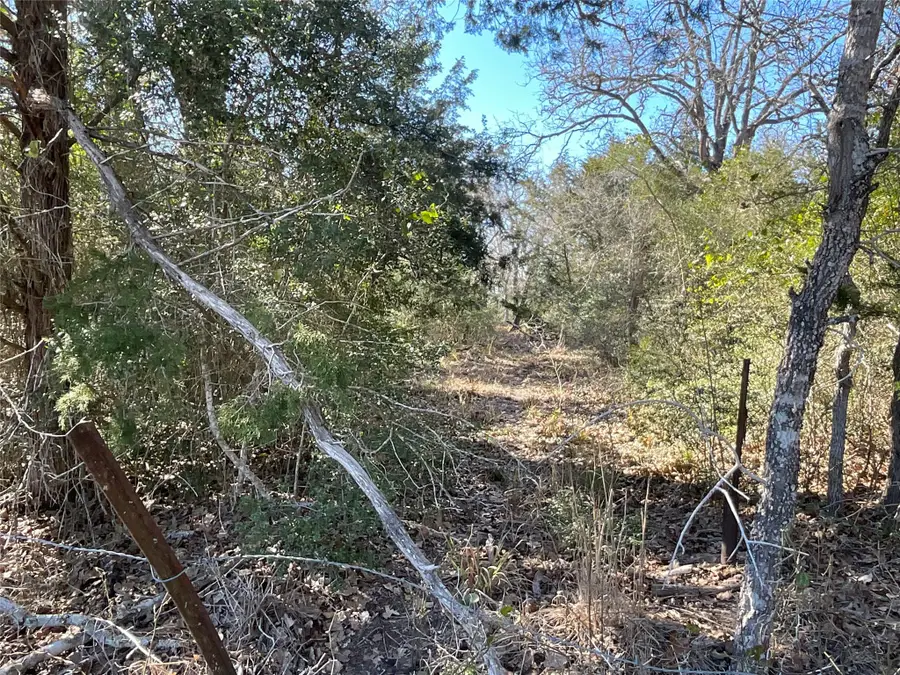 TBD County Road 212, Hallettsville, TX 77964 - Image #2