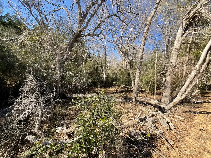 TBD County Road 212, Hallettsville, TX 77964 - Image #3