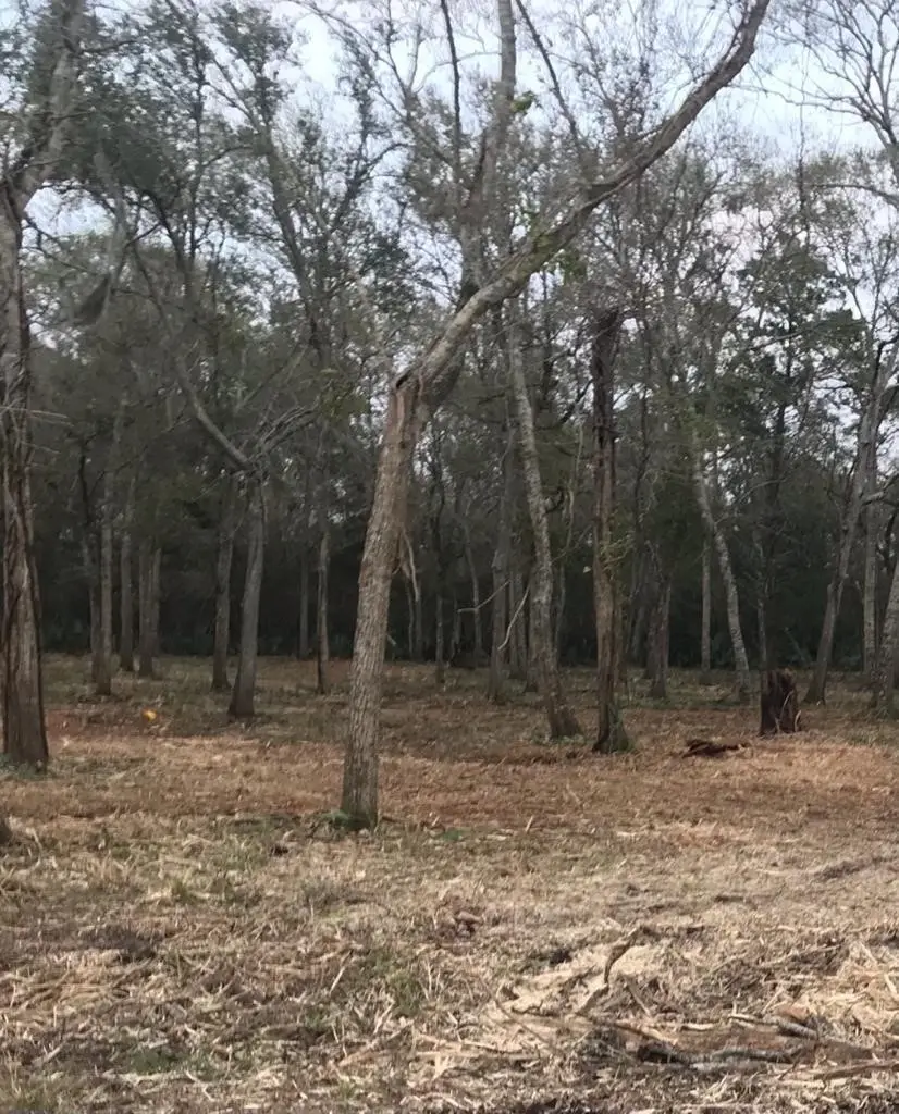 0 County Road 495, Brazoria, TX 77422 - #2