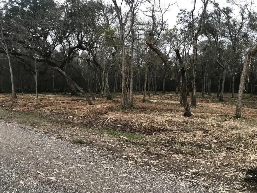 0 County Road 495, Brazoria, TX 77422 - #3