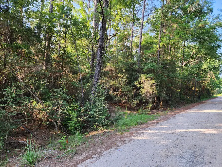 135 Arborcrest Drive, Brookeland, TX 75931 - #2