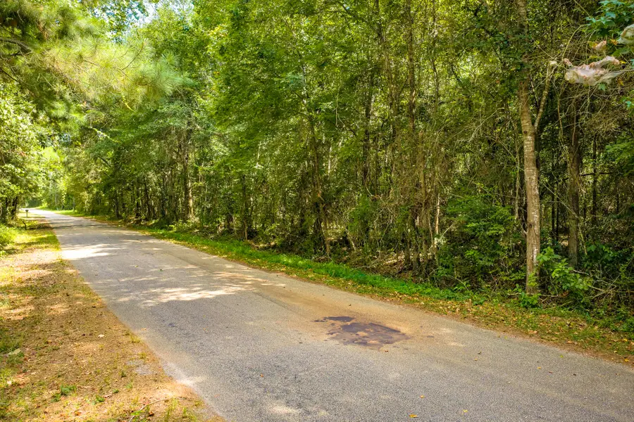 TBD Cr 4120, Woodville, TX 75979 - #2