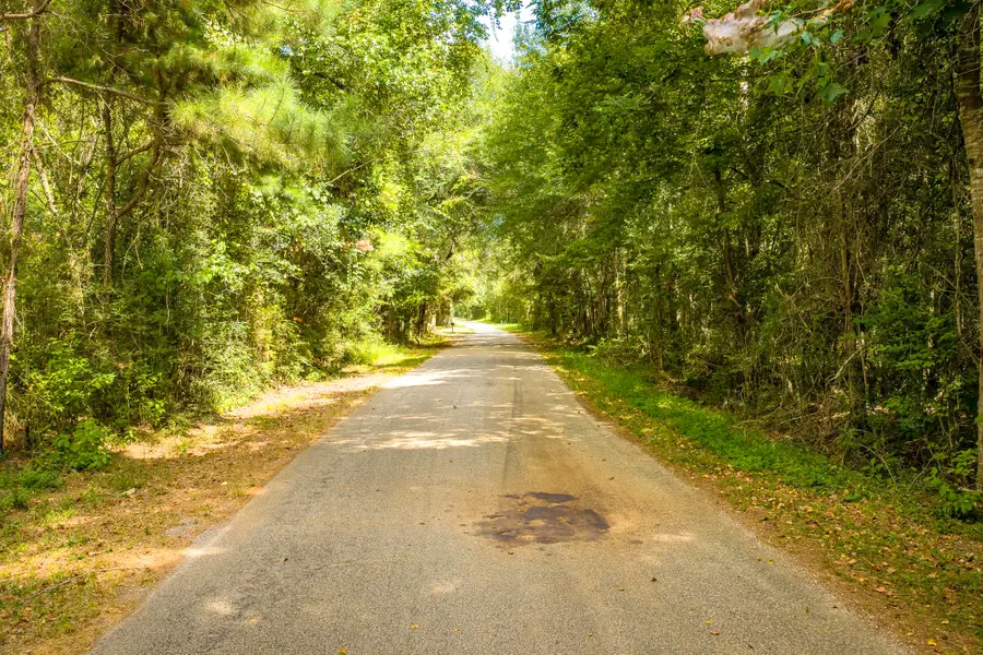 TBD Cr 4120, Woodville, TX 75979 - #3
