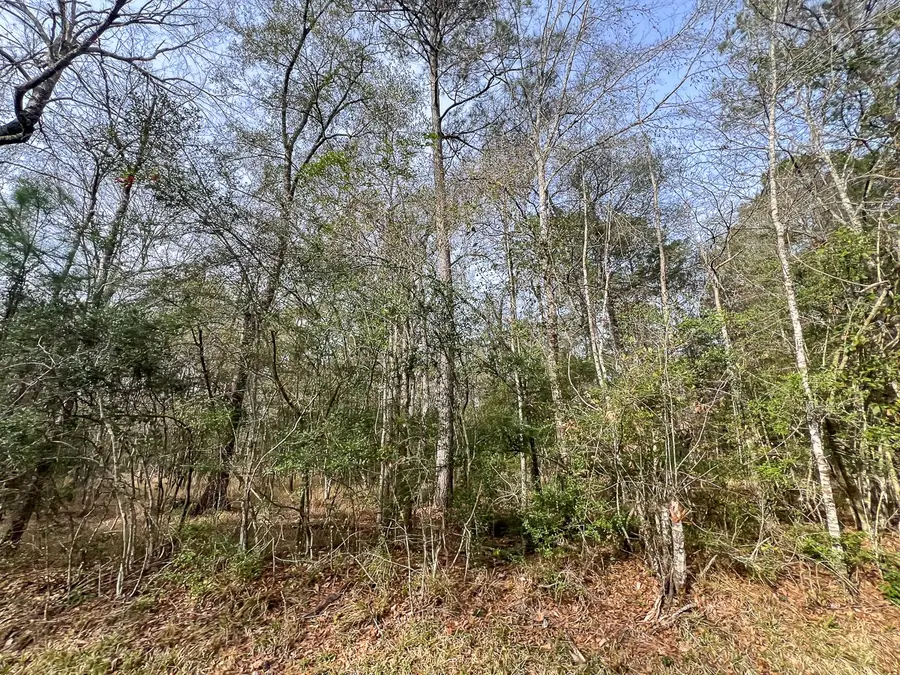 0 Fm 787, Saratoga, TX 77585 - #3