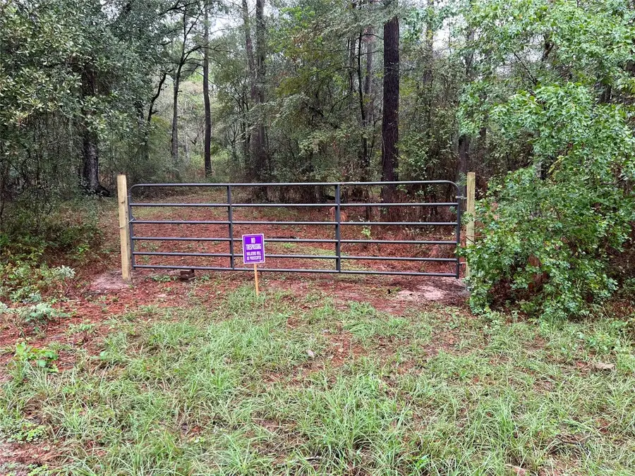 26156 Red Oak Drive, Magnolia, TX 77355 - #2