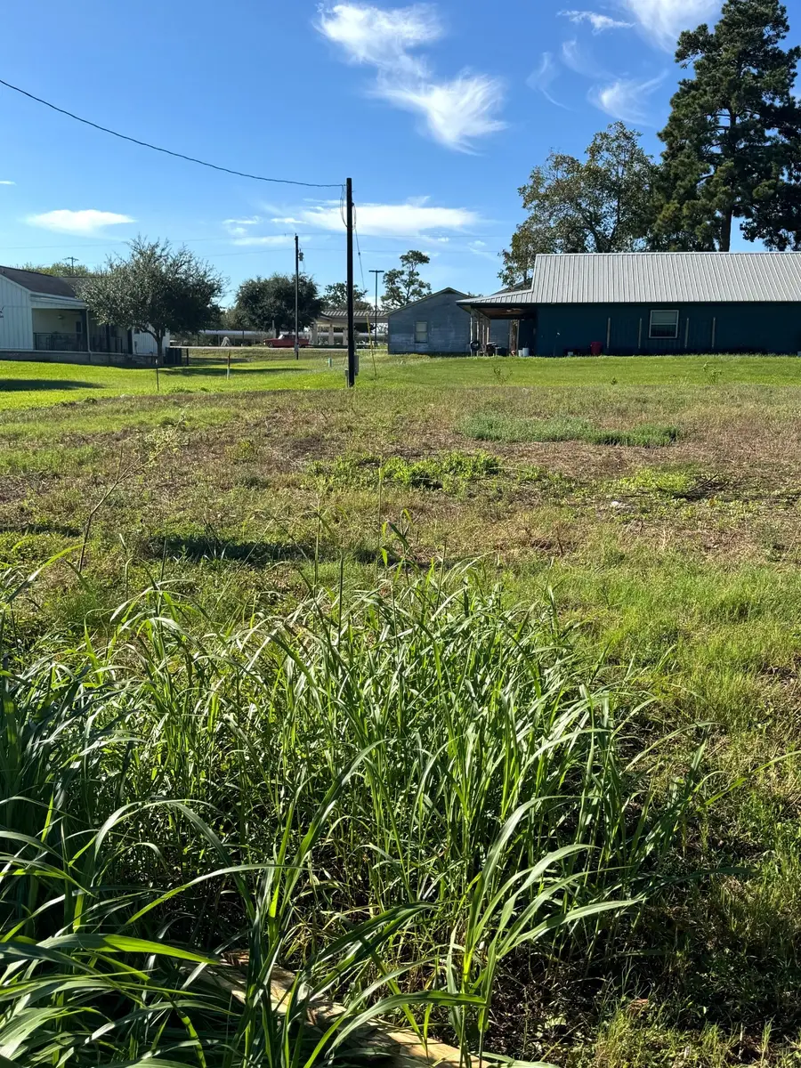 747 Houston, New Ulm, TX 78950 - #3