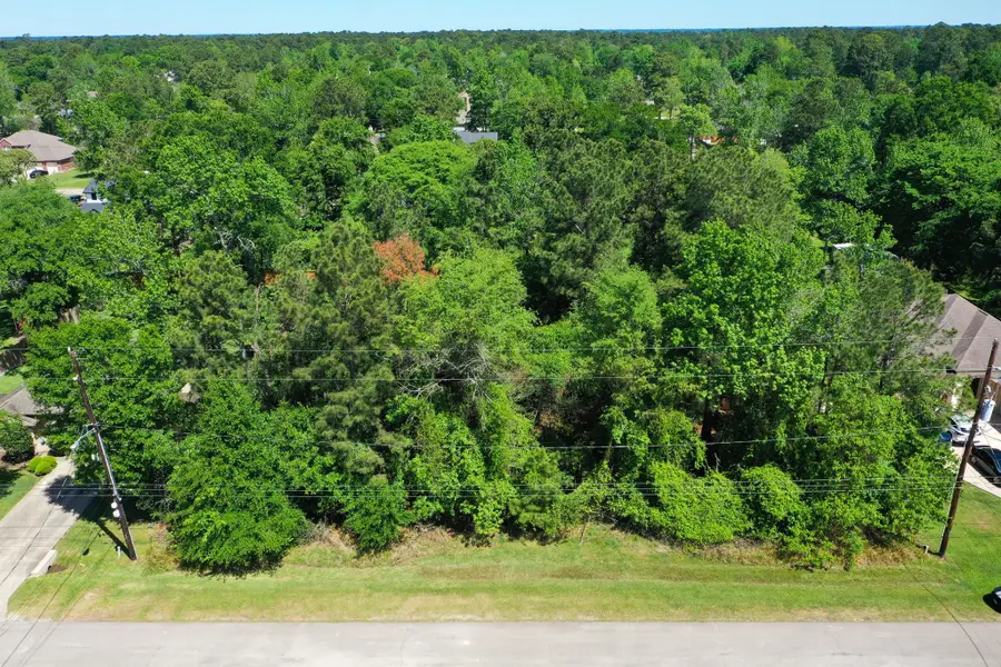 L42 Durango Drive, Magnolia, TX 77354 - #3