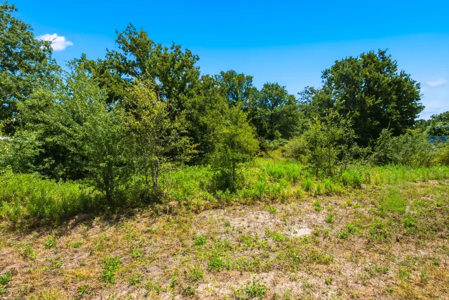 1.01 Acres County Road 436, Snook, TX 77878 - #3