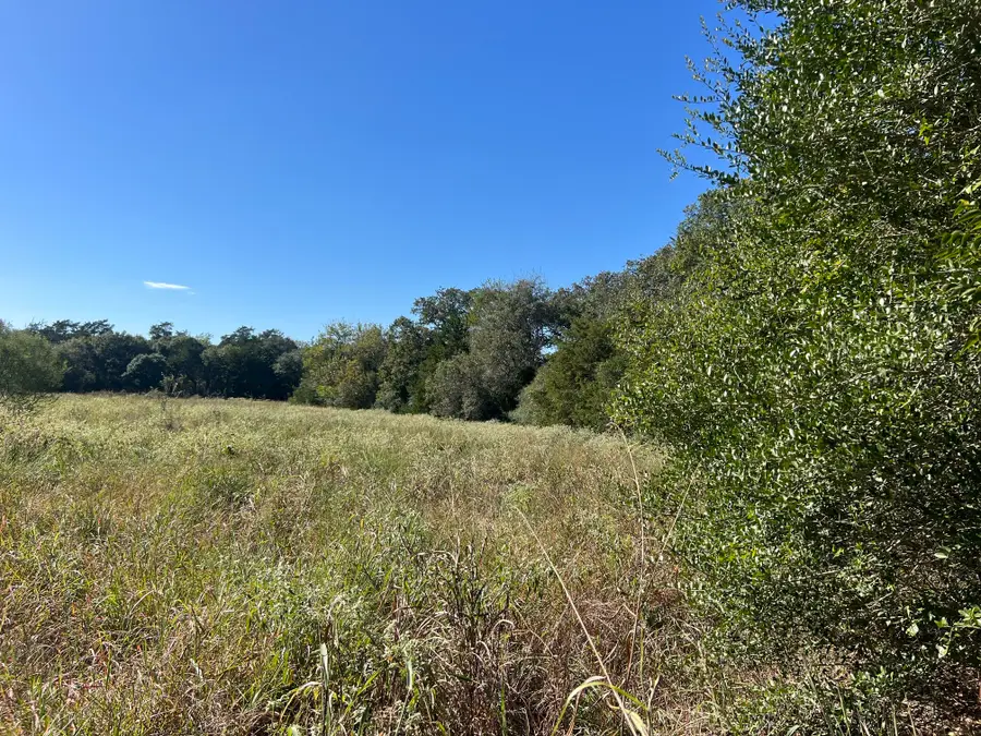 TBD Fm 109, Columbus, TX 78934 - #3
