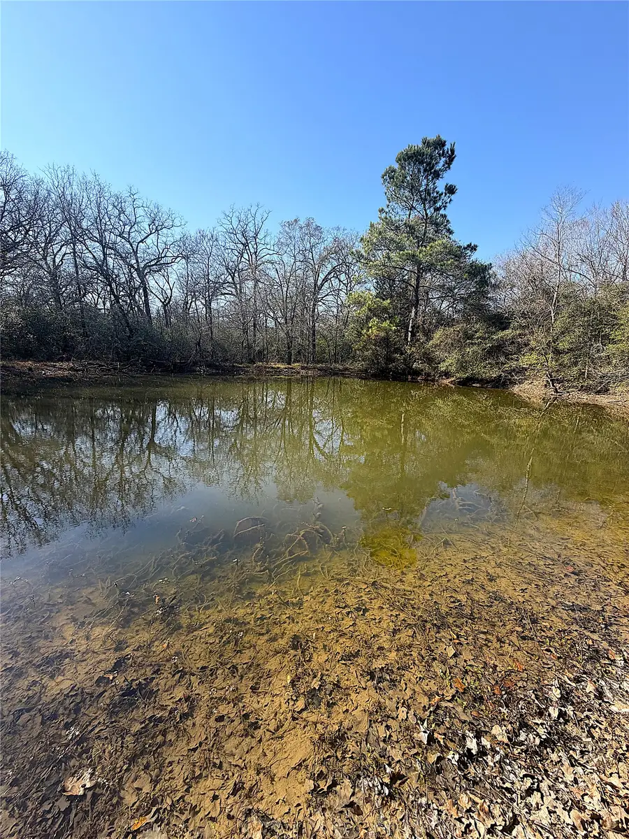 00000 Cr 102, Leona, TX 75850 - #2