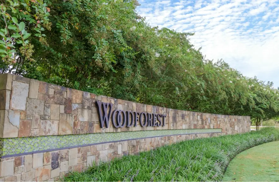 417 East Coralburst Loop, Montgomery, TX 77316 - #2