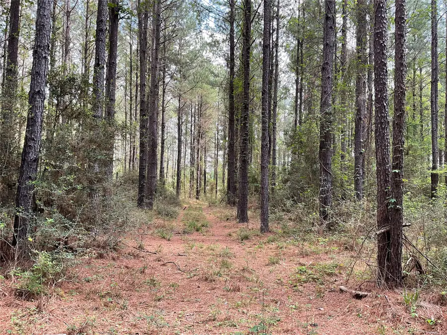 Lot 2B & 2C Fuller Springs Drive, Lufkin, TX 75901 - #3