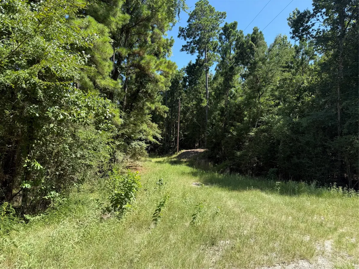 TBD Creeklake Drive, Onalaska, TX 77360 - #1