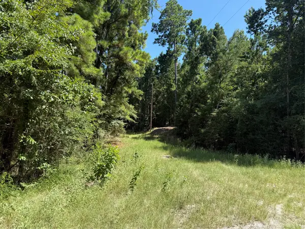 TBD Creeklake Drive, Onalaska, TX 77360