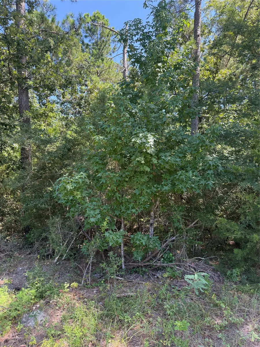 TBD Creeklake Drive, Onalaska, TX 77360 - #3