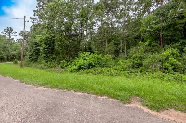 Lot 56 Post Oak Circle, Trinity, TX 75862