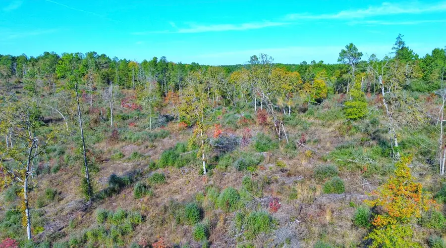 TBD Fm 2022, Grapeland, TX 75844 - Image #2