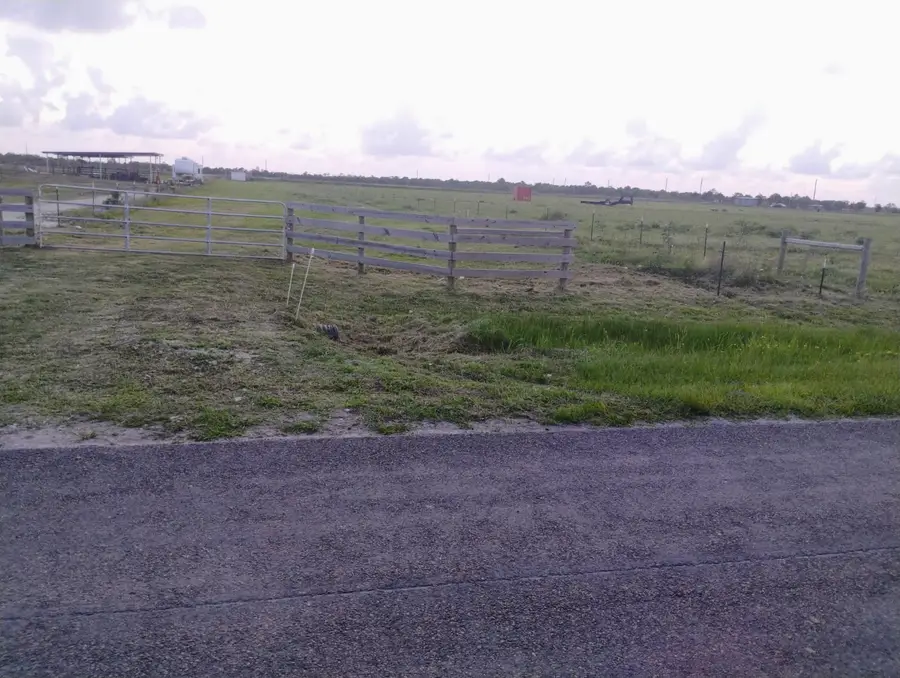 6620 Eagle Road, Anahuac, TX 77514 - #2