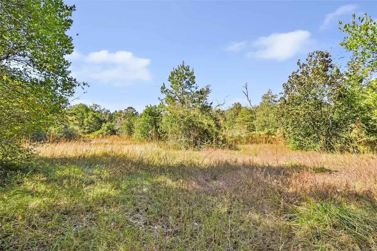 1224 Plum Pudding Road, Livingston, TX 77351 - Image #1