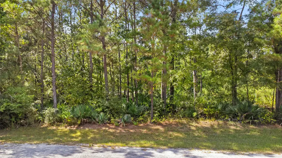 10 Oakwood Lane, Huntsville, TX 77340 - Image #2