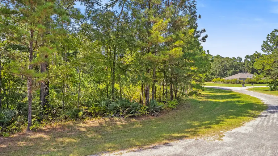 10 Oakwood Lane, Huntsville, TX 77340 - Image #3