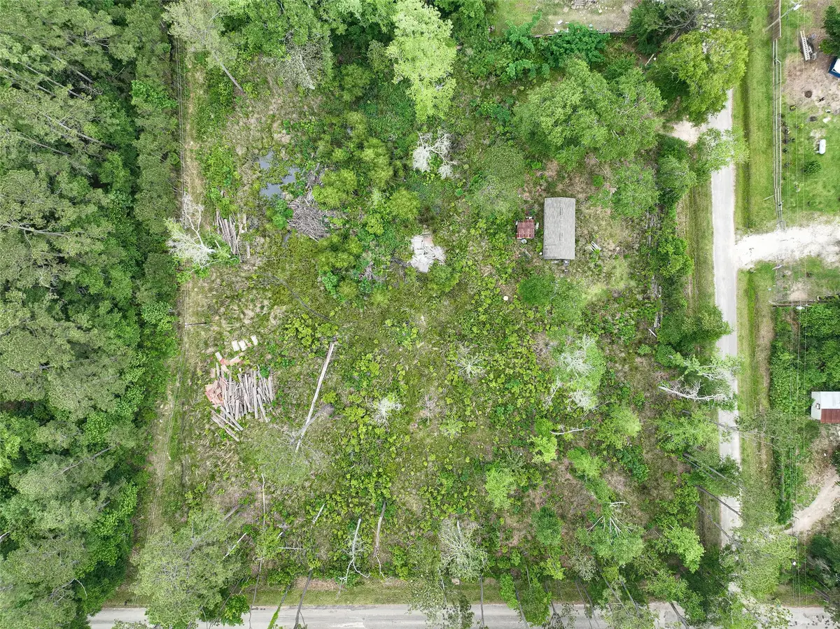 0 Leona Lane, Shepherd, TX 77371 - #1
