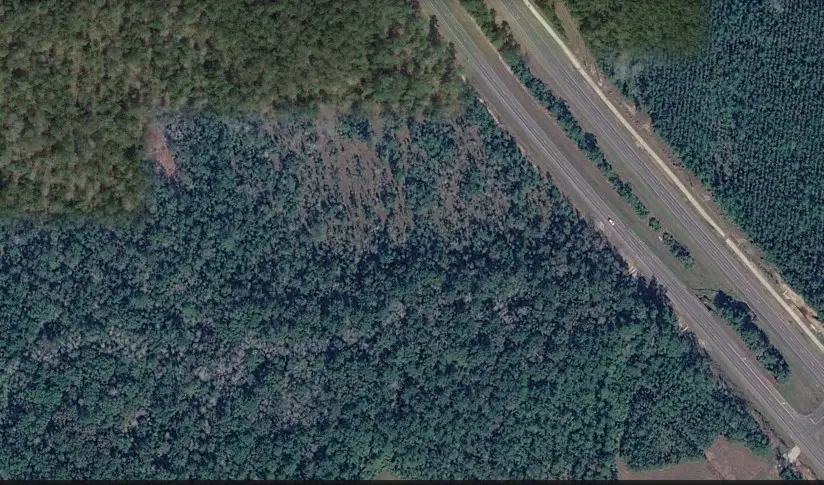7915 Highway 69 N, Kountze, TX 77625 - #2