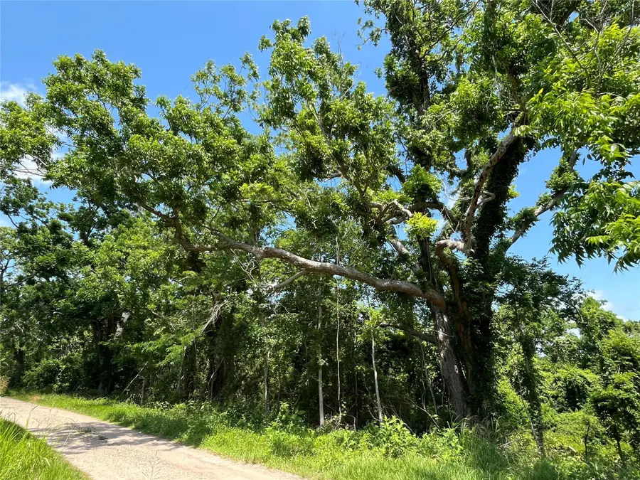 0 Oyster Creek Drive, Angleton, TX 77515 - Image #2