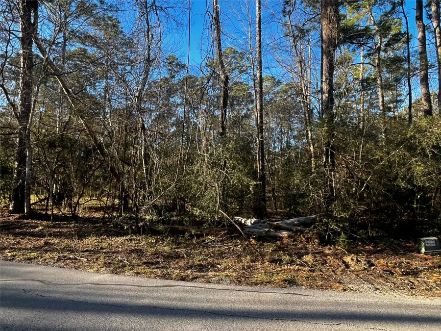 172 N Fairway Loop, Coldspring, TX 77331 - Image #2