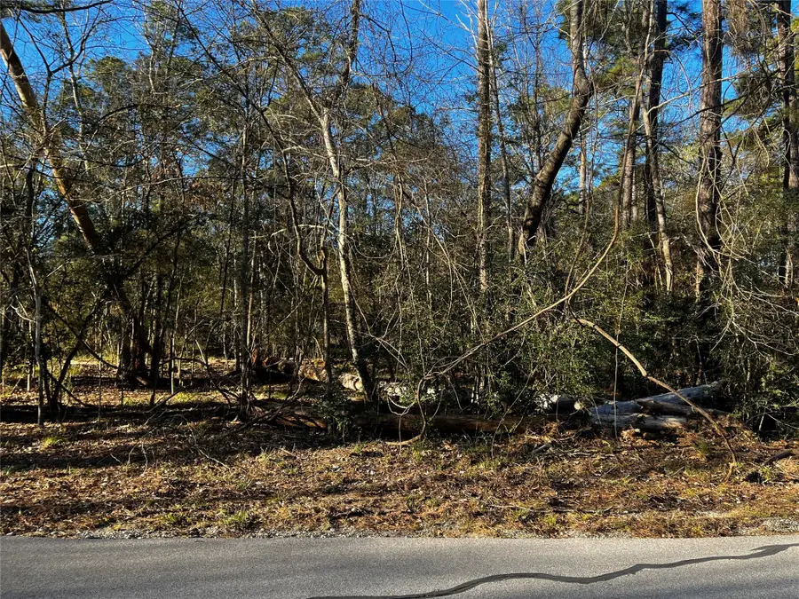 172 N Fairway Loop, Coldspring, TX 77331 - Image #3