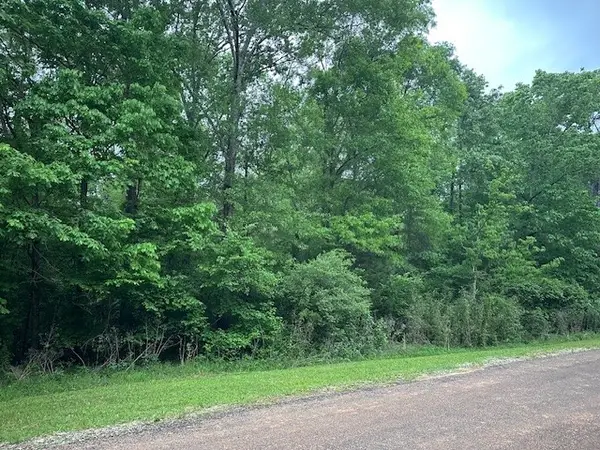 TBD Lots 13 & 14 Eastgate Park, Livingston, TX 77351